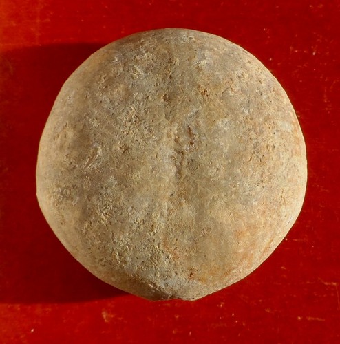 Oursin fossile jurassique - jurassique, de