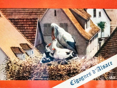 Carte postale ancienne - postale,