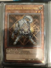 Yu-Gi-Oh! Ryko le Chasseur