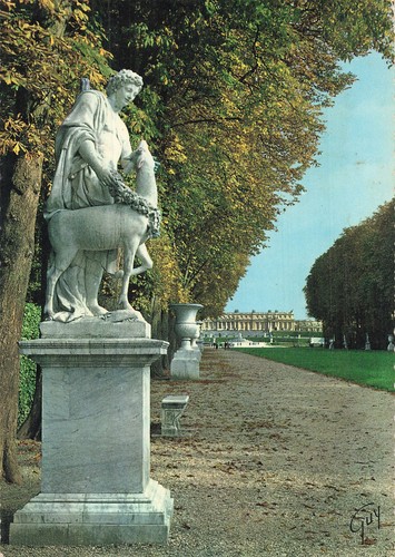 Versailles tapis vert - 78,
