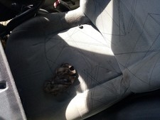 7701052406 SIÈGE AVANT GAUCHE