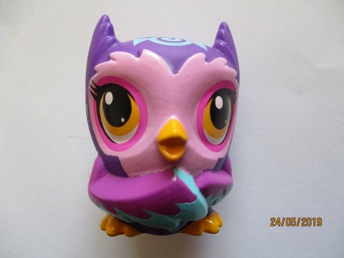 Petshop chouette hibou - chouette,