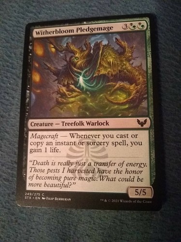 Witherbloom pledgemage - witherbloom,