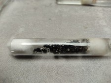 Fourmis Messor Barbarus 10