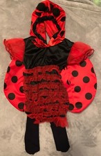 Baby ladybug costume - costume, size