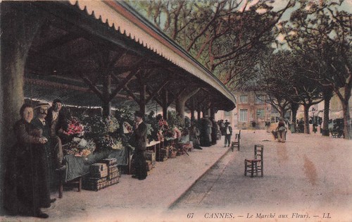 Cannes marche aux - cannes,