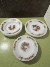 Lot De 15 Assiettes ARCOPAL
