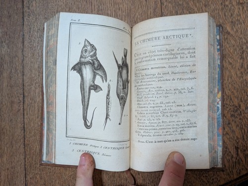 Livre ancien lacépède - lacépède,