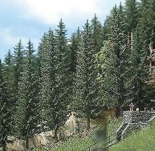 Arbres En Sapin Réalistes