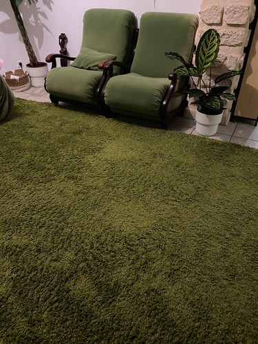 Shaggy poils longs - longs, tapis