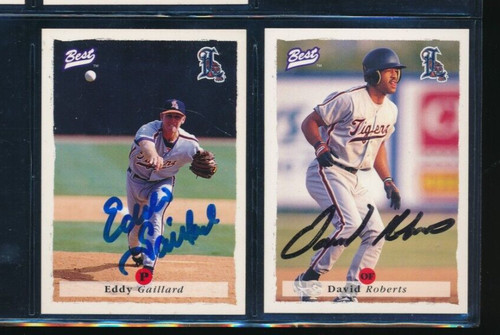 Lot 1995 best tigers 21 - 1995, #21