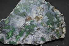 VERT D'OREZZA  ( HAUTE CORSE )