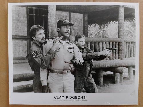 Clay pidgeons photo - pidgeons,