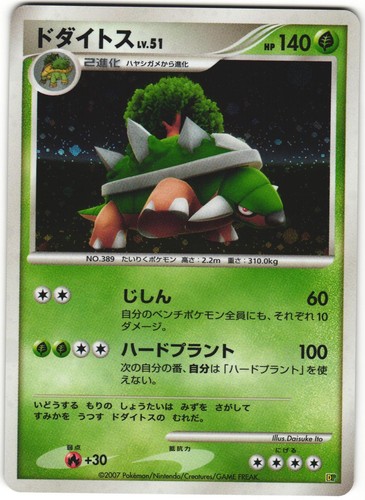 Torterra entry pack dp - entry,