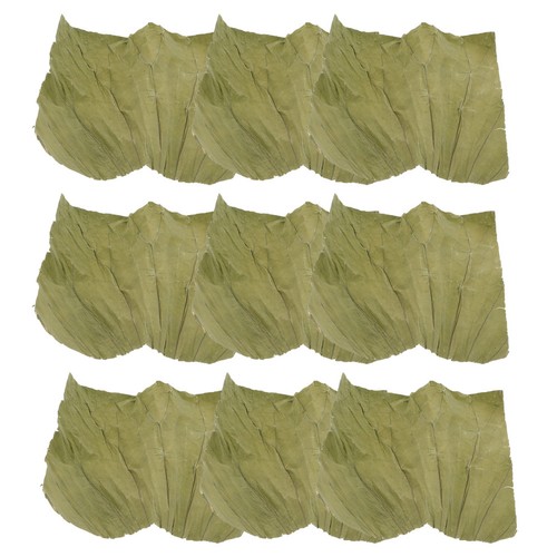 100 pcs assiette sushi à - assiette,