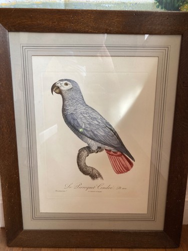 Grande gravure ancienne