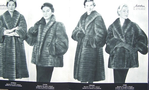 Beau catalogue fourrures - catalogue,
