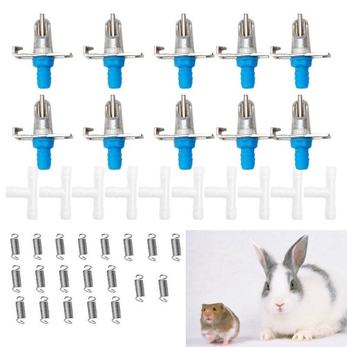 Pour lapin buveur animal - pour,