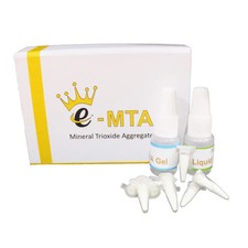 Kids-e-Dental E-MTA (agrégat