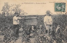 CPA 21 LES VENDANGES /