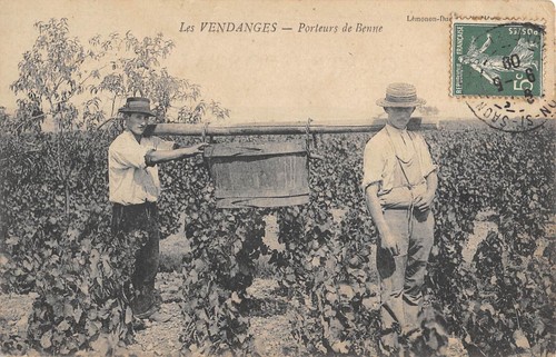 Cpa les vendanges - 21, /