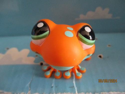 Petshop grenouille 1570 - petshop, n°1570