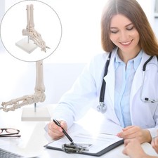  Modèle de joint anatomique