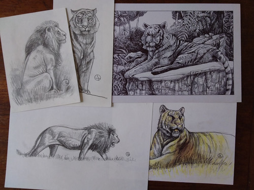 Lot dessins animalier - lot,