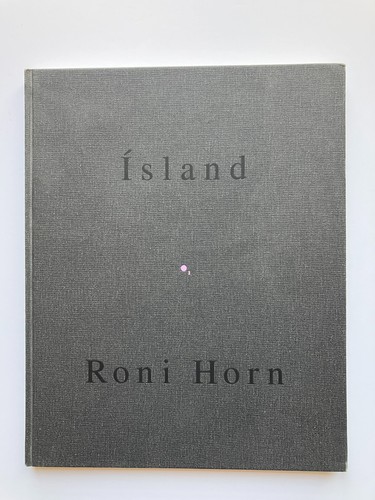 Roni horn island pooling - island, :