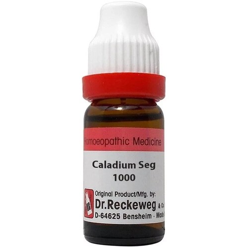 Reckeweg caladium seg - dr.reckeweg,