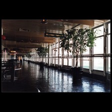 Photo B.001068 PAQUEBOT SS NORWAY FRANCE LE HAVRE OCEAN LINER 2001 NCL SHIP