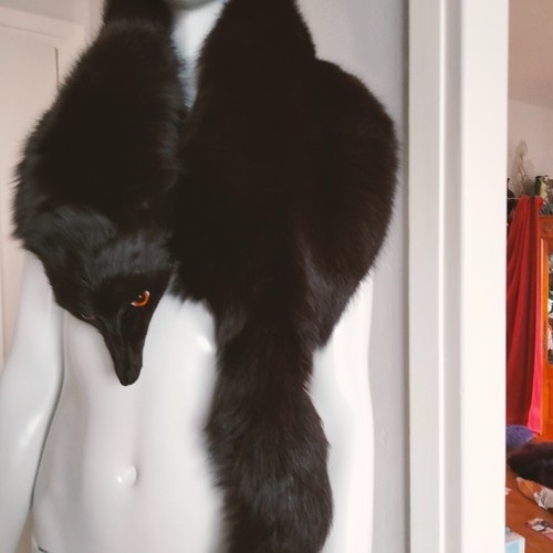 étole renard black - étole, en