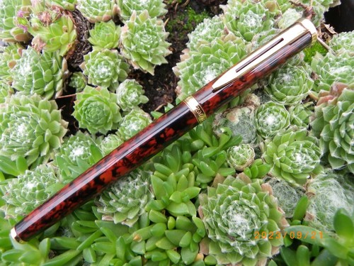 Authentique stylo roller - stylo,
