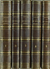 Le Baron Cuvier Le Règne Animal 1829   400€ nbses planches  Ill N&B Rare B. état