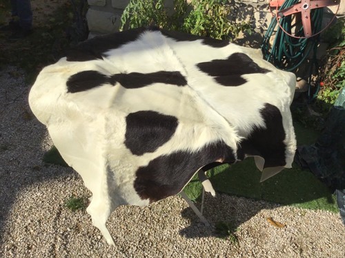 Superbe peau veau vache - ,