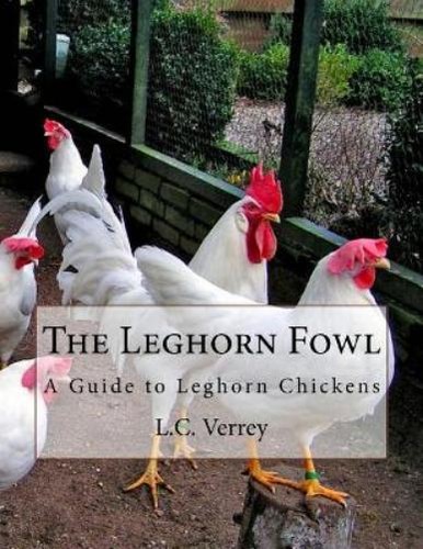 Verrey the leghorn - l,