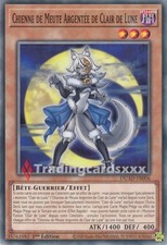 Yu-Gi-Oh! Chienne de Meute Argentée de Clair de Lune : C DUAD-FR006