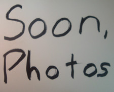 Regina Oro Or 13T-28T