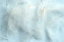 1g Plumes de Cul de Canard