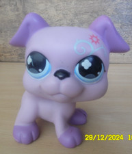 MP/ HASBRO LITTLE PETSHOP JUMBO XXL  CHIEN BOXER VIOLET ANNEE 2008