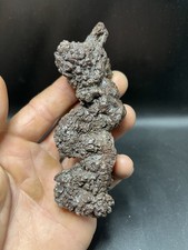 4.33" / 11 cm - Coprolite Poo