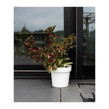 Pot a réserve d'eau - GARDEN