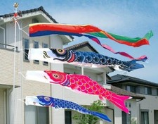 3m Nylon Sky Koinobori "Dokodemo Garden", Pole Stand Set, Carp