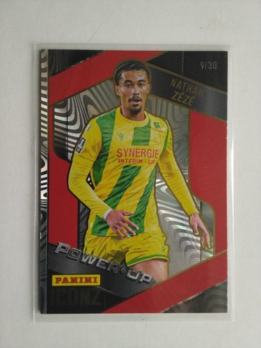 Panini football carte - carte, de