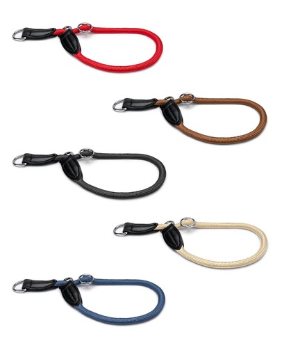 Lionto collier chien - lionto,