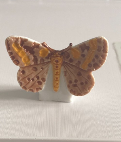 Feve zerene groseiller - zerene,