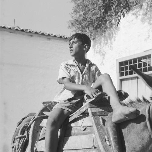 Photo papier argentique - papier,