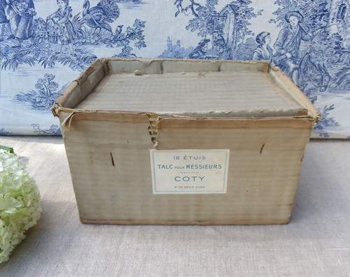 Parfums coty carton pour - coty,