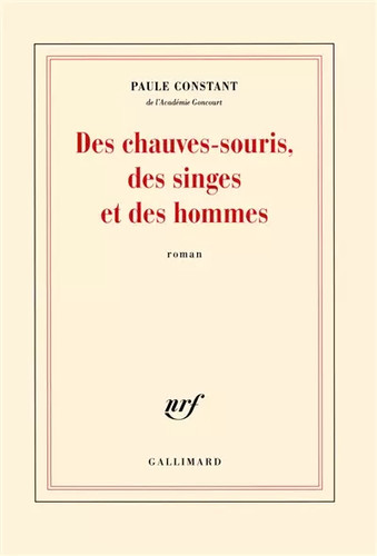 Des chauves souris - des,