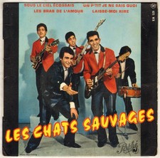 LES CHATS SAUVAGES "SOUS LE